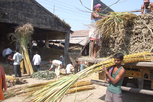 Market Functionaries